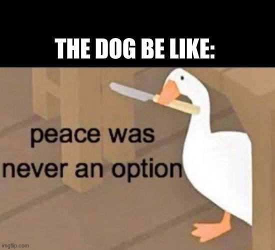 Peace was never an option | THE DOG BE LIKE: | image tagged in peace was never an option | made w/ Imgflip meme maker