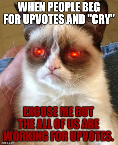 No offence | WHEN PEOPLE BEG FOR UPVOTES AND "CRY"; EXCUSE ME BUT THE ALL OF US ARE WORKING FOR UPVOTES. | image tagged in memes,grumpy cat | made w/ Imgflip meme maker