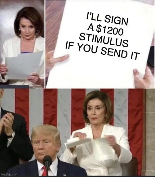 You should’ve done it then | I’LL SIGN A $1200 STIMULUS IF YOU SEND IT | image tagged in pelosi rip,stimulus | made w/ Imgflip meme maker