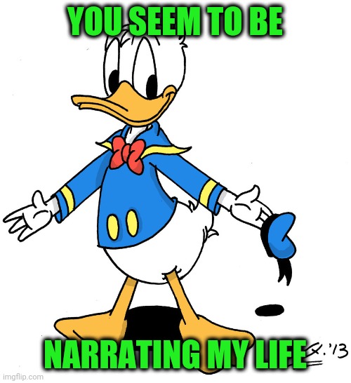 donald duck shrugs | YOU SEEM TO BE NARRATING MY LIFE | image tagged in donald duck shrugs | made w/ Imgflip meme maker