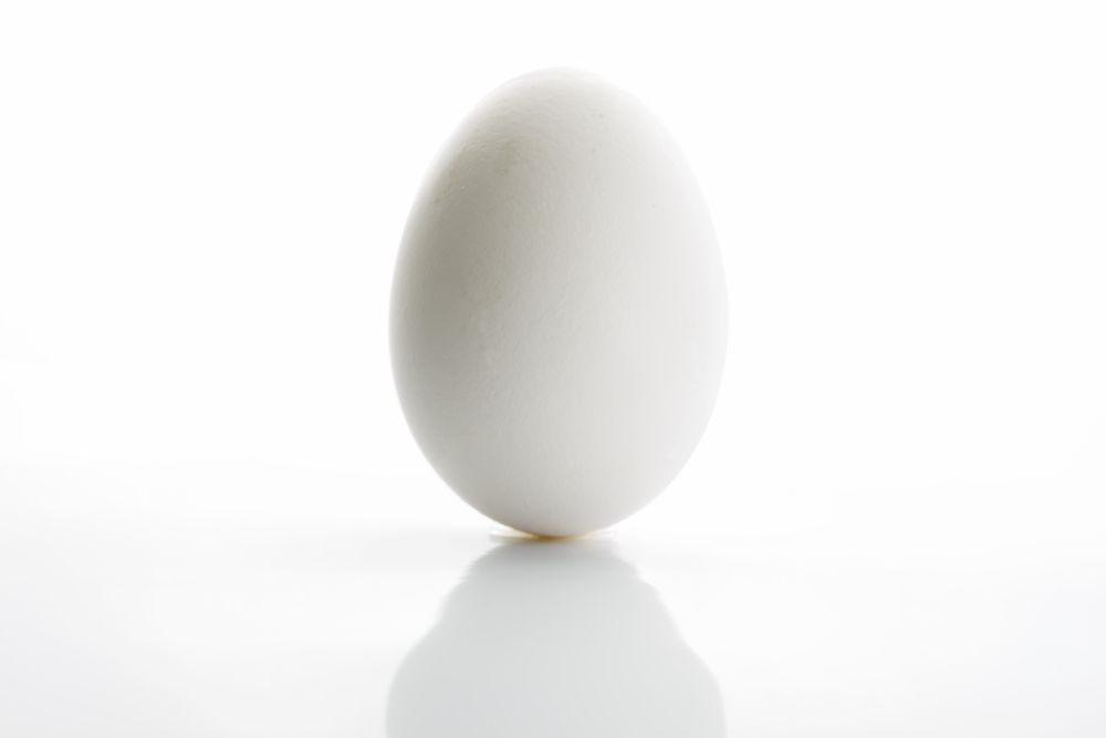 High Quality Egg Blank Meme Template