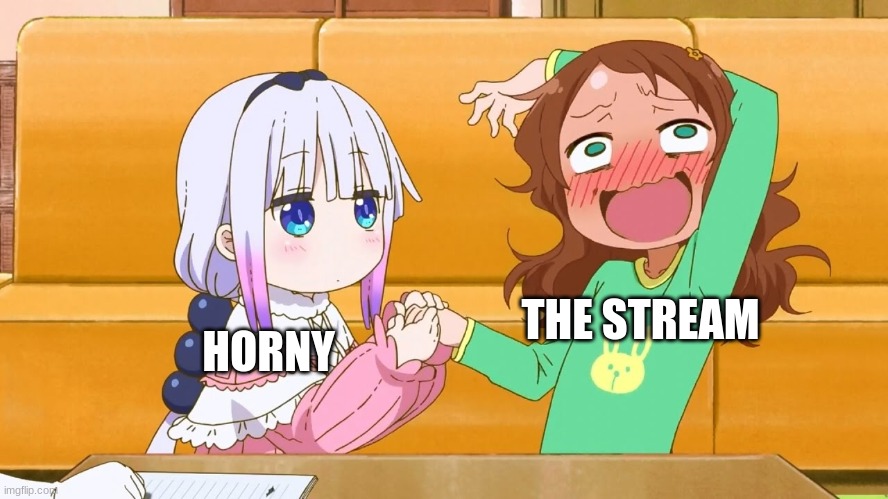That sums it up. | THE STREAM; HORNY | image tagged in enter the kannagasm | made w/ Imgflip meme maker