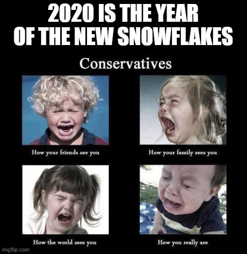 2020 is the year of the new snowflakes | 2020 IS THE YEAR OF THE NEW SNOWFLAKES | image tagged in snowflake,conservatives,2020,new,republicans,crying | made w/ Imgflip meme maker