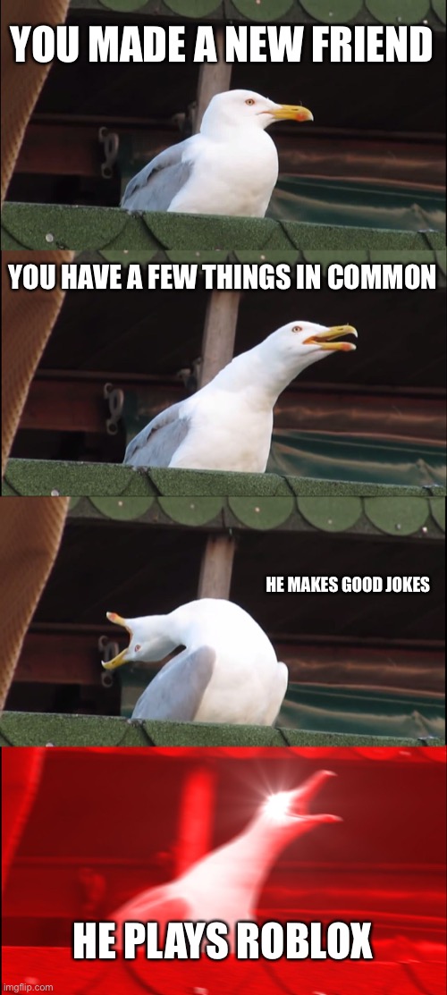 Inhaling Seagull | YOU MADE A NEW FRIEND; YOU HAVE A FEW THINGS IN COMMON; HE MAKES GOOD JOKES; HE PLAYS ROBLOX | image tagged in memes,inhaling seagull | made w/ Imgflip meme maker