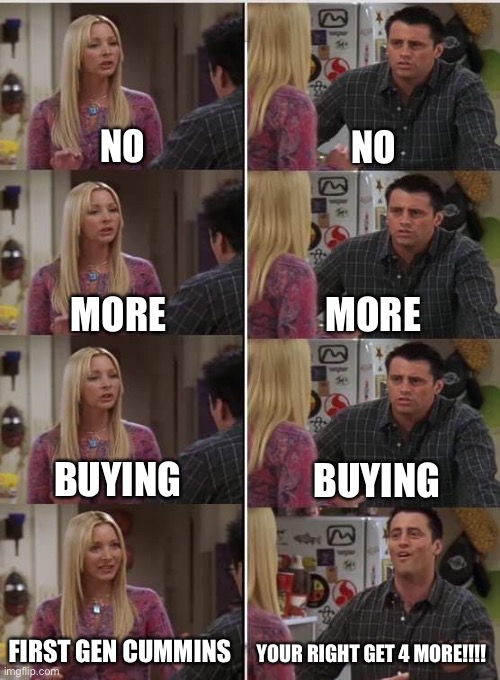 Phoebe Joey | NO; NO; MORE; MORE; BUYING; BUYING; FIRST GEN CUMMINS; YOUR RIGHT GET 4 MORE!!!! | image tagged in phoebe joey | made w/ Imgflip meme maker