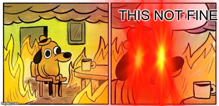 NOTHING IS FINE | THIS NOT FINE | image tagged in angry | made w/ Imgflip meme maker