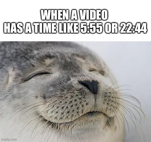 WHEN A VIDEO 
HAS A TIME LIKE 5:55 OR 22:44 | image tagged in blank white template,memes,satisfied seal,youtube | made w/ Imgflip meme maker