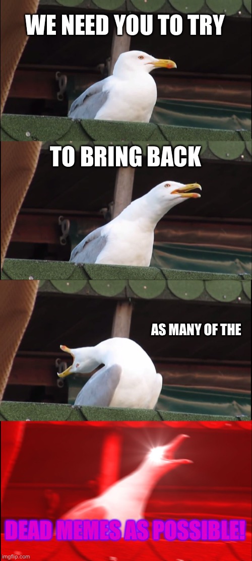 Inhaling Seagull | WE NEED YOU TO TRY; TO BRING BACK; AS MANY OF THE; DEAD MEMES AS POSSIBLE! | image tagged in memes,inhaling seagull | made w/ Imgflip meme maker