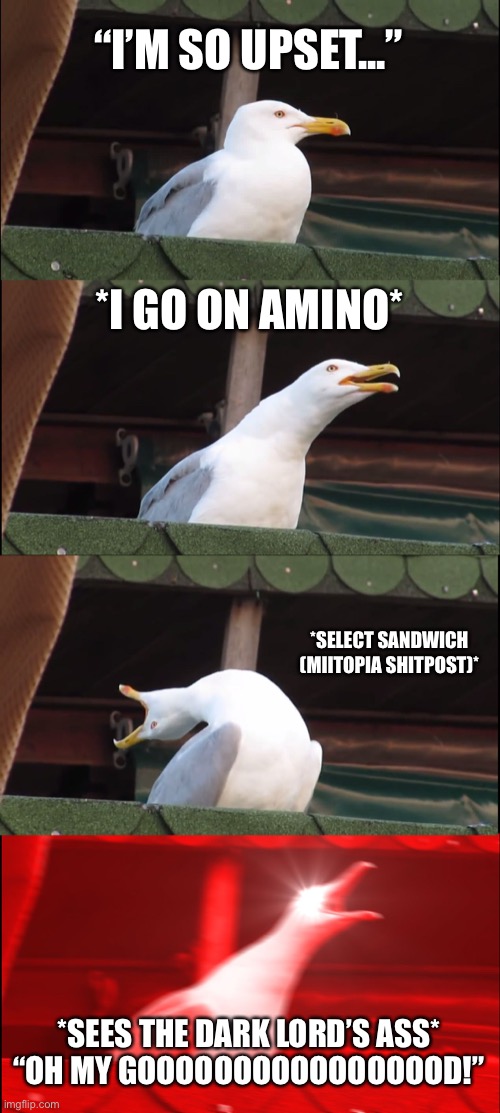 Inhaling Seagull | “I’M SO UPSET...”; *I GO ON AMINO*; *SELECT SANDWICH (MIITOPIA SHITPOST)*; *SEES THE DARK LORD’S ASS*
“OH MY GOOOOOOOOOOOOOOOOD!” | image tagged in memes,inhaling seagull | made w/ Imgflip meme maker