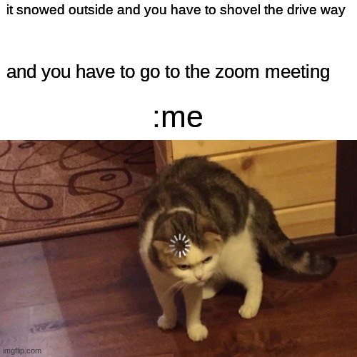 hmmmm | it snowed outside and you have to shovel the drive way; and you have to go to the zoom meeting; :me | image tagged in funny,drake | made w/ Imgflip meme maker