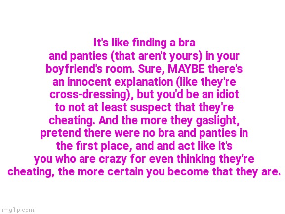 Blank White Template | It's like finding a bra and panties (that aren't yours) in your boyfriend's room. Sure, MAYBE there's an innocent explanation (like they're cross-dressing), but you'd be an idiot to not at least suspect that they're cheating. And the more they gaslight, pretend there were no bra and panties in the first place, and and act like it's you who are crazy for even thinking they're cheating, the more certain you become that they are. | image tagged in blank white template | made w/ Imgflip meme maker