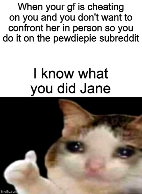 I KnOw WhAt YoU dId |  When your gf is cheating on you and you don't want to confront her in person so you do it on the pewdiepie subreddit; I know what you did Jane | image tagged in sad cat thumbs up white spacing | made w/ Imgflip meme maker