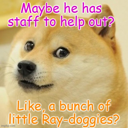 Doge Meme | Maybe he has staff to help out? Like, a bunch of little Ray-doggies? | image tagged in memes,doge | made w/ Imgflip meme maker