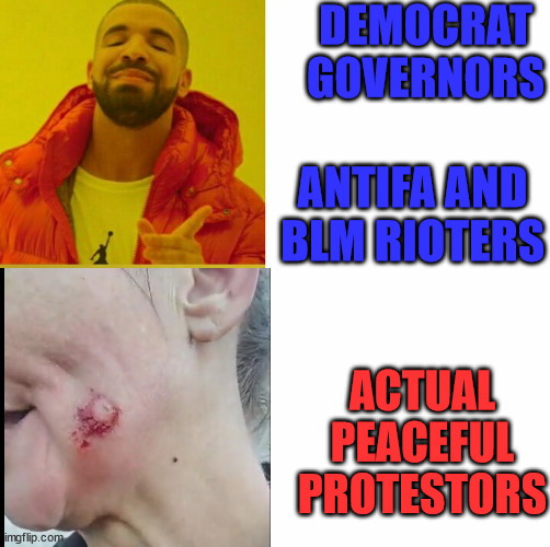 Protesting Dems | DEMOCRAT GOVERNORS; ANTIFA AND BLM RIOTERS; ACTUAL PEACEFUL PROTESTORS | image tagged in drake reversed | made w/ Imgflip meme maker