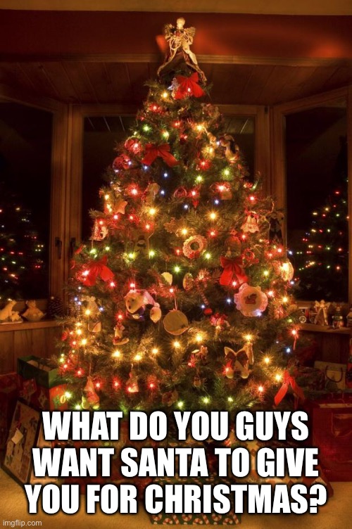 Christmas Tree | WHAT DO YOU GUYS WANT SANTA TO GIVE YOU FOR CHRISTMAS? | image tagged in christmas tree | made w/ Imgflip meme maker