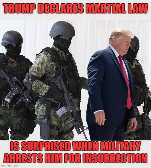Trump's attempts to overturn the election will backfire! | TRUMP DECLARES MARTIAL LAW; IS SURPRISED WHEN MILITARY ARRESTS HIM FOR INSURRECTION | image tagged in donald trump you're fired,sore loser,martial law,insurrection,military | made w/ Imgflip meme maker