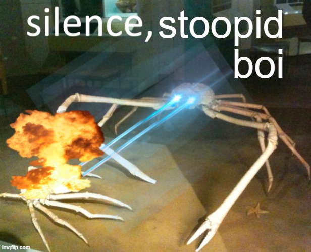 Silence Crab | stoopid boi | image tagged in silence crab | made w/ Imgflip meme maker
