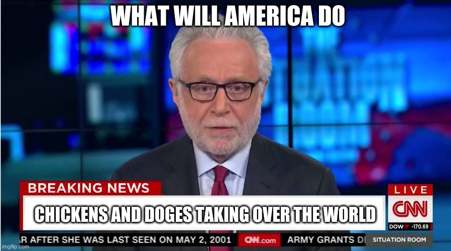 CNN "Wolf of Fake News" Fanfiction | WHAT WILL AMERICA DO; CHICKENS AND DOGES TAKING OVER THE WORLD | image tagged in doges rule | made w/ Imgflip meme maker