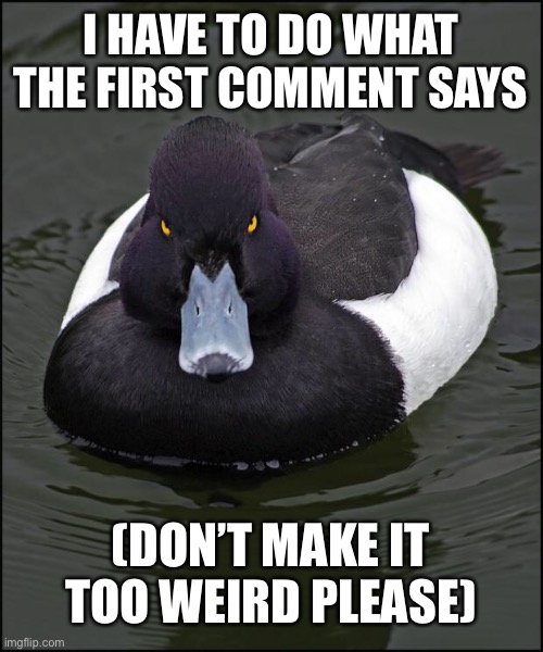 If you comment something completely shit, he will find you | I HAVE TO DO WHAT THE FIRST COMMENT SAYS; (DON’T MAKE IT TOO WEIRD PLEASE) | image tagged in angry duck | made w/ Imgflip meme maker