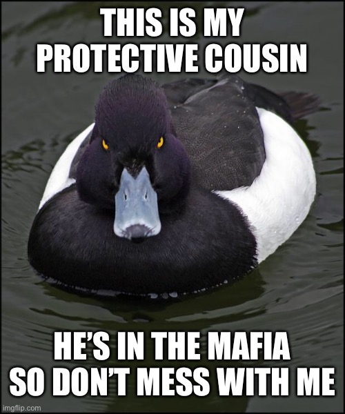 He is the leader of the ducktown mafia | THIS IS MY PROTECTIVE COUSIN; HE’S IN THE MAFIA SO DON’T MESS WITH ME | image tagged in angry duck | made w/ Imgflip meme maker