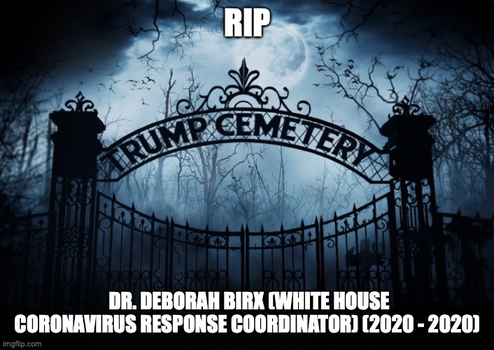 RIP  Dr. Deborah Birx | RIP; DR. DEBORAH BIRX (WHITE HOUSE CORONAVIRUS RESPONSE COORDINATOR) (2020 - 2020) | image tagged in trump administration,coronavirus,trump cemetery,rip,dr deborah birx,donald trump | made w/ Imgflip meme maker