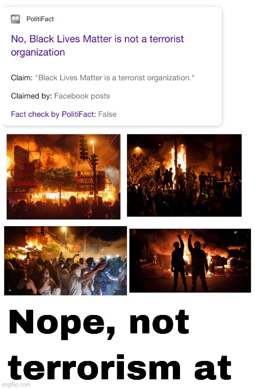 The media is lying to you | image tagged in blm,black lives matter,terrorism,domestic violence,trump 2020,libtards | made w/ Imgflip meme maker