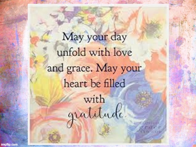 May your day unfold with Love and Grace. May your Heart be filled with Gratitude | image tagged in namaste | made w/ Imgflip meme maker