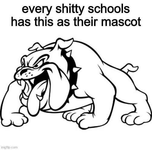 every shitty schools has this as their mascot | image tagged in dankmemes | made w/ Imgflip meme maker