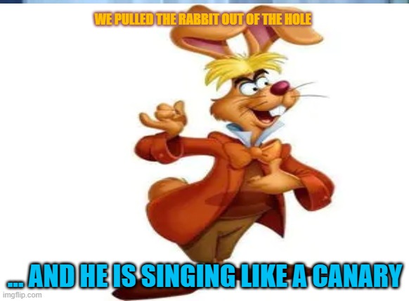 Rabbit Hole | WE PULLED THE RABBIT OUT OF THE HOLE; ... AND HE IS SINGING LIKE A CANARY | image tagged in humor | made w/ Imgflip meme maker