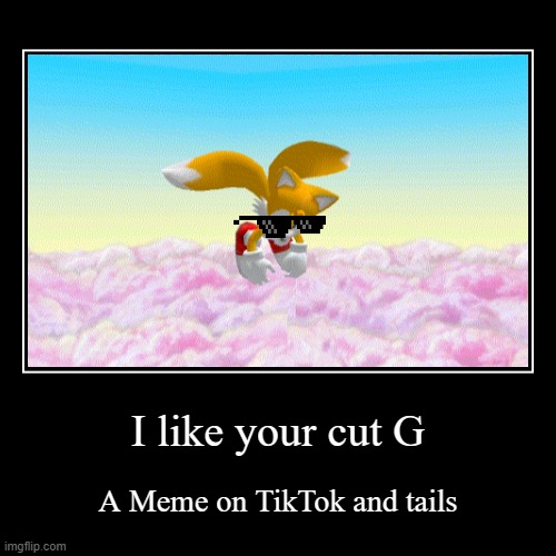 I like your cut G | I like your cut G | A Meme on TikTok and tails | image tagged in funny,demotivationals,tails,sonic the hedgehog | made w/ Imgflip demotivational maker