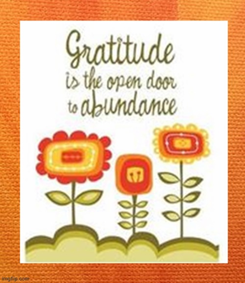 Gratitude is the open door to abundance | image tagged in namaste | made w/ Imgflip meme maker