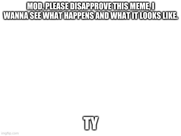 plz | MOD, PLEASE DISAPPROVE THIS MEME, I WANNA SEE WHAT HAPPENS AND WHAT IT LOOKS LIKE. TY | image tagged in blank white template | made w/ Imgflip meme maker