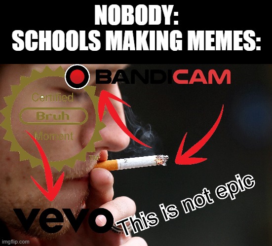 very hip | NOBODY:
SCHOOLS MAKING MEMES: | image tagged in school,steve buscemi fellow kids,cringe | made w/ Imgflip meme maker
