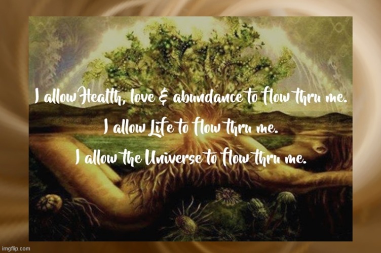 I allow Health, Love, Abundance, Life and the Universe to flow thru me. | image tagged in namaste | made w/ Imgflip meme maker