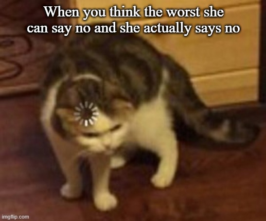 Loading cat | When you think the worst she can say no and she actually says no | image tagged in loading cat | made w/ Imgflip meme maker