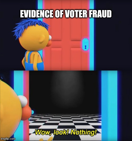 The truth | EVIDENCE OF VOTER FRAUD | image tagged in wow look nothing,meme,politics,voter fraud | made w/ Imgflip meme maker