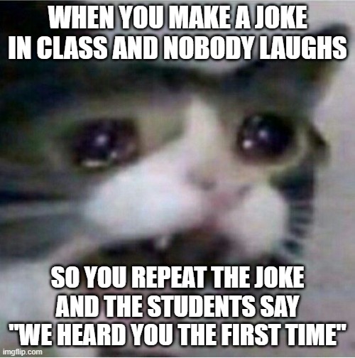 crying cat | WHEN YOU MAKE A JOKE IN CLASS AND NOBODY LAUGHS; SO YOU REPEAT THE JOKE AND THE STUDENTS SAY "WE HEARD YOU THE FIRST TIME" | image tagged in crying cat | made w/ Imgflip meme maker