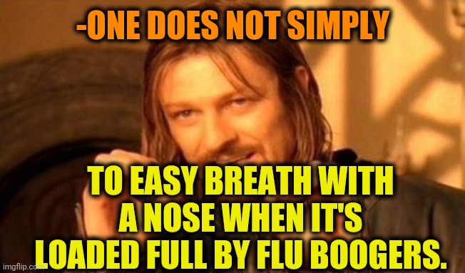-Floristic flu. | -ONE DOES NOT SIMPLY; TO EASY BREATH WITH A NOSE WHEN IT'S LOADED FULL BY FLU BOOGERS. | image tagged in one does not simply,boogers,loading,nose pick,heavy breathing,disease | made w/ Imgflip meme maker