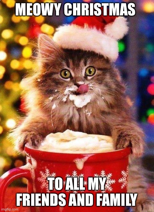 Meowy Christmas to all my friends and family | MEOWY CHRISTMAS; TO ALL MY FRIENDS AND FAMILY | image tagged in funny memes,merry christmas,kitten | made w/ Imgflip meme maker