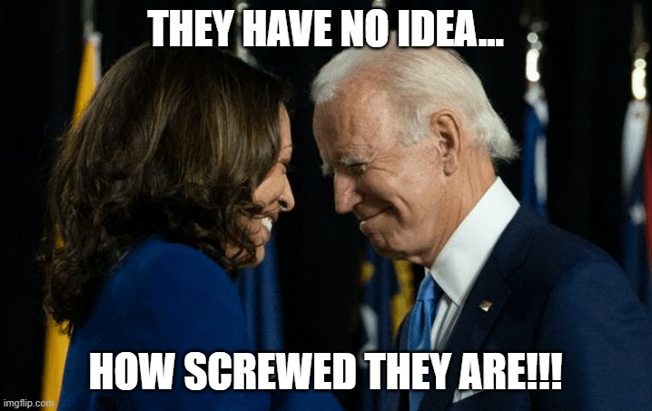 They have no idea... | THEY HAVE NO IDEA... HOW SCREWED THEY ARE!!! | image tagged in biden,harris,theft,nwo | made w/ Imgflip meme maker