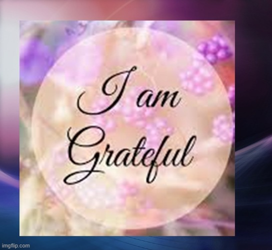 I am grateful. | image tagged in namaste | made w/ Imgflip meme maker