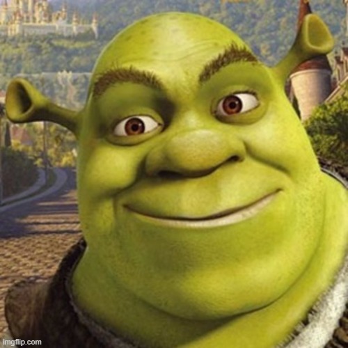 name this character wrong answers only | image tagged in sherk | made w/ Imgflip meme maker