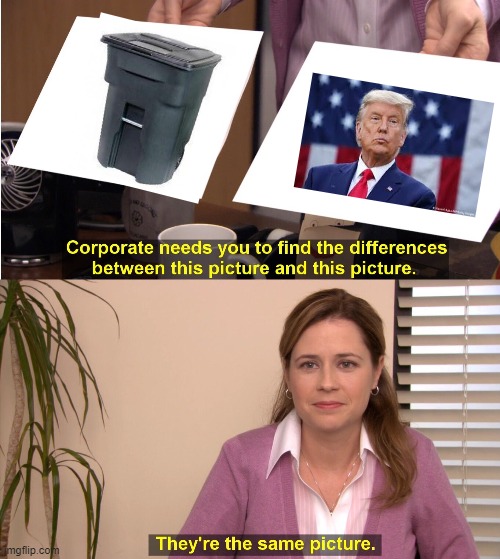 They're The Same Picture | image tagged in memes,they're the same picture | made w/ Imgflip meme maker