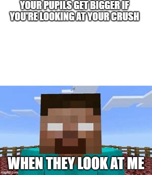 YOUR PUPILS GET BIGGER IF YOU'RE LOOKING AT YOUR CRUSH; WHEN THEY LOOK AT ME | image tagged in herobrine | made w/ Imgflip meme maker