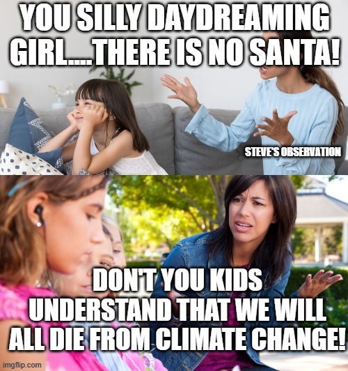 politics | STEVE'S OBSERVATION | image tagged in political meme | made w/ Imgflip meme maker