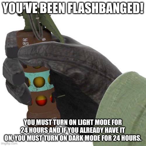 Flashbang | YOU’VE BEEN FLASHBANGED! YOU MUST TURN ON LIGHT MODE FOR 24 HOURS AND IF YOU ALREADY HAVE IT ON, YOU MUST TURN ON DARK MODE FOR 24 HOURS. | image tagged in flashbang | made w/ Imgflip meme maker