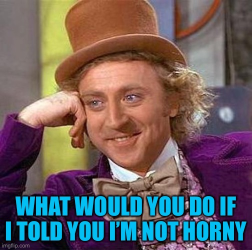 Lol | WHAT WOULD YOU DO IF I TOLD YOU I’M NOT HORNY | image tagged in memes,creepy condescending wonka | made w/ Imgflip meme maker
