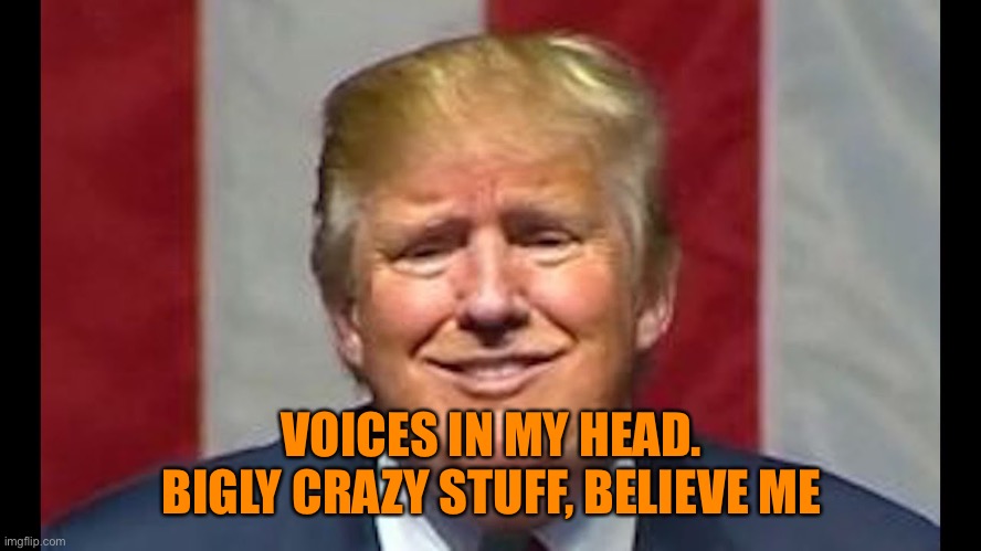 VOICES IN MY HEAD. BIGLY CRAZY STUFF, BELIEVE ME | made w/ Imgflip meme maker