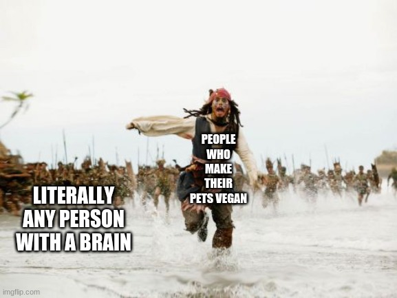 Jack Sparrow Being Chased | PEOPLE WHO MAKE THEIR PETS VEGAN; LITERALLY ANY PERSON WITH A BRAIN | image tagged in memes,jack sparrow being chased | made w/ Imgflip meme maker