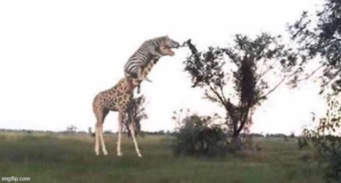 Are you high? | made w/ Imgflip meme maker